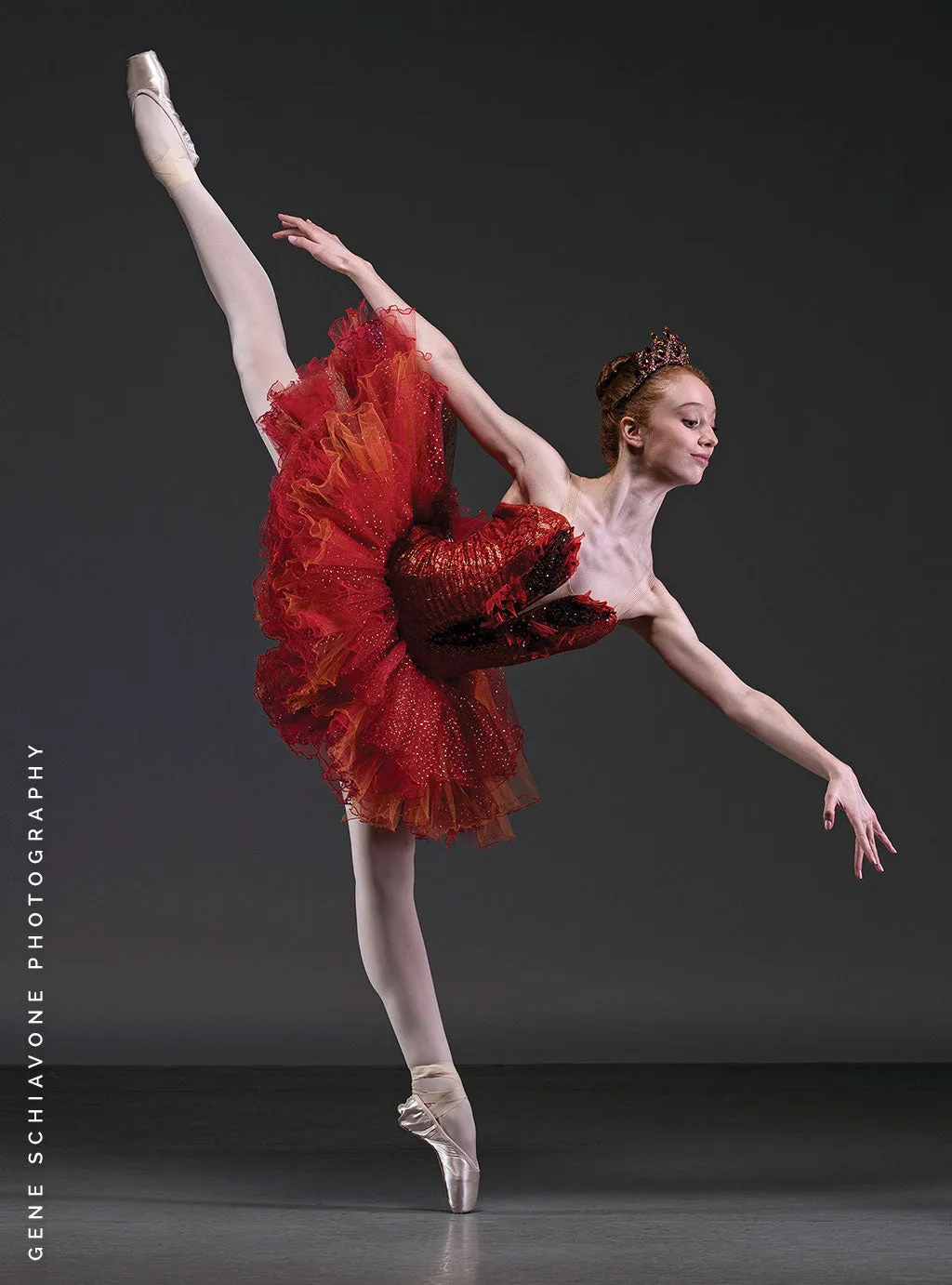 Advanced Tutu Course Kit: Firebird or Bluebird Tutu with Bodice