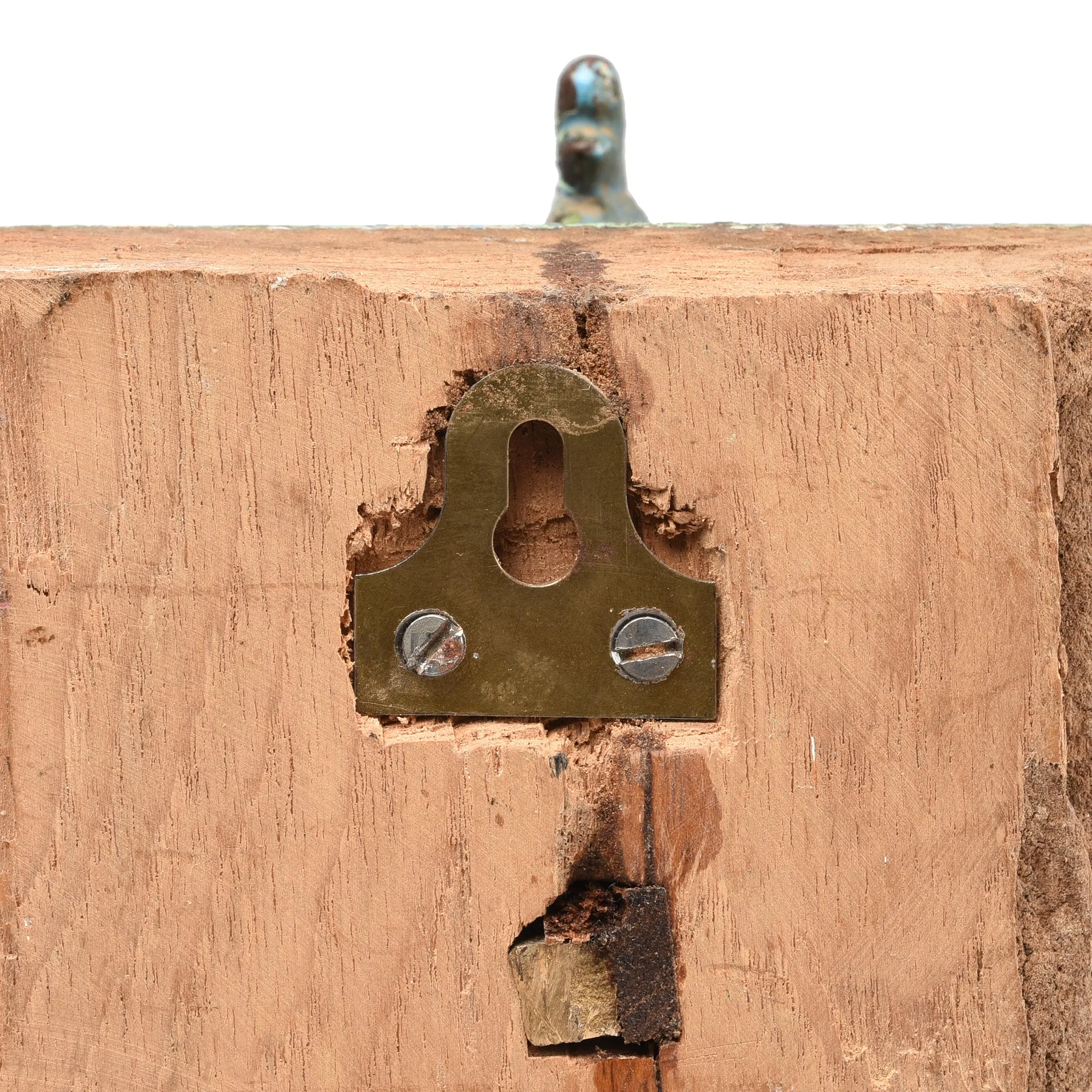 Brass Peacock Coat Hook on Painted Teak Base -19thC