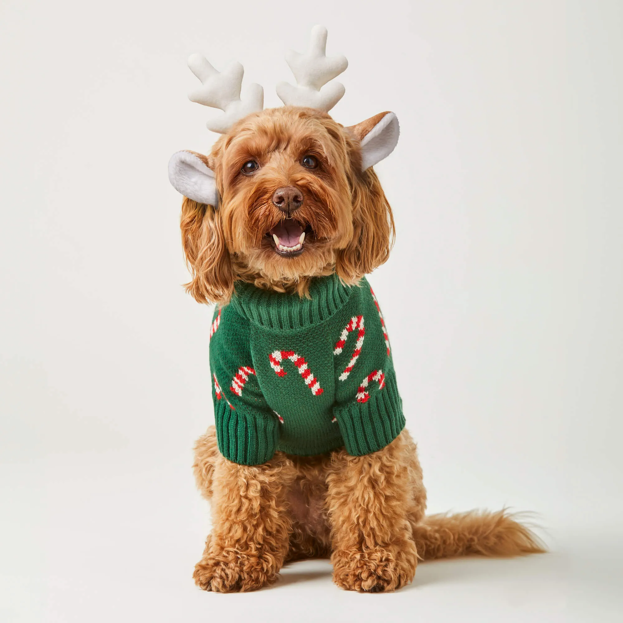 Candy Canes Dog Sweater