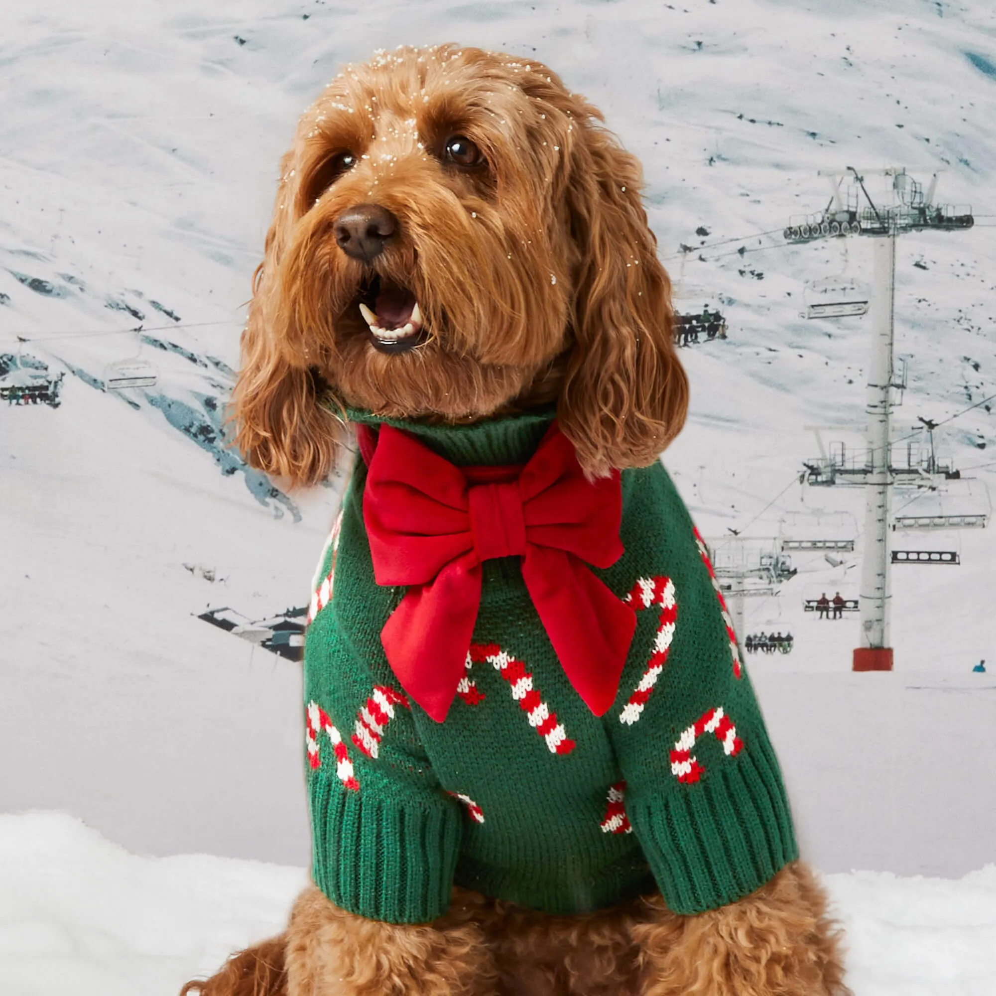 Candy Canes Dog Sweater