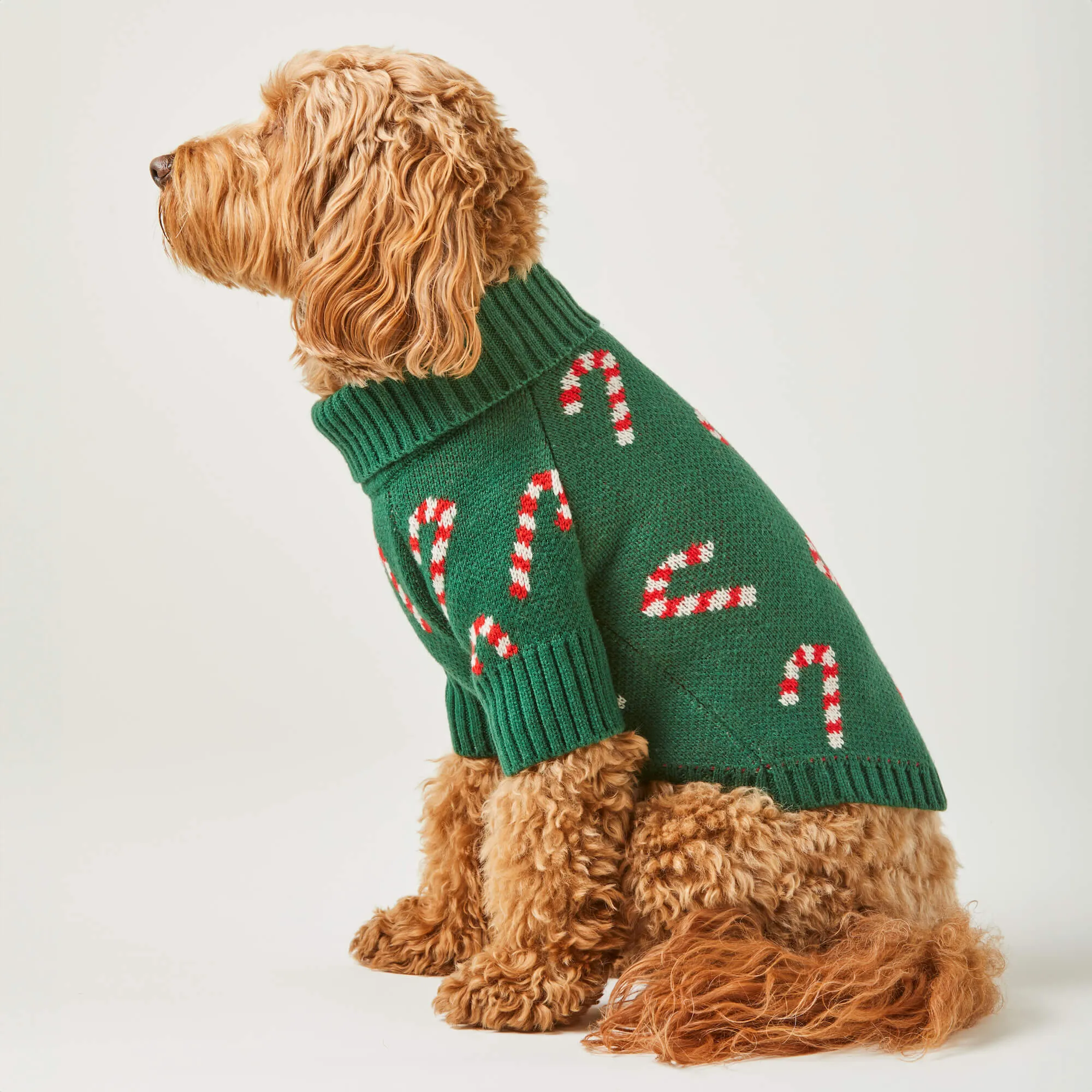 Candy Canes Dog Sweater