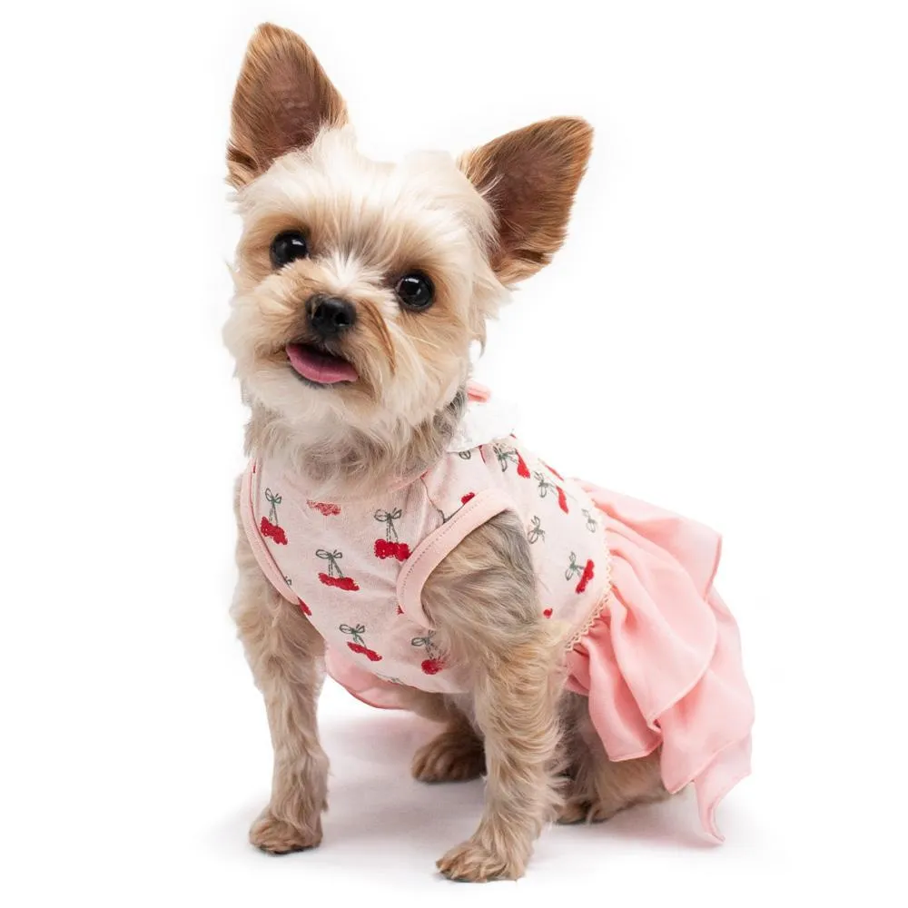 Cherish Cherry Dog Dress