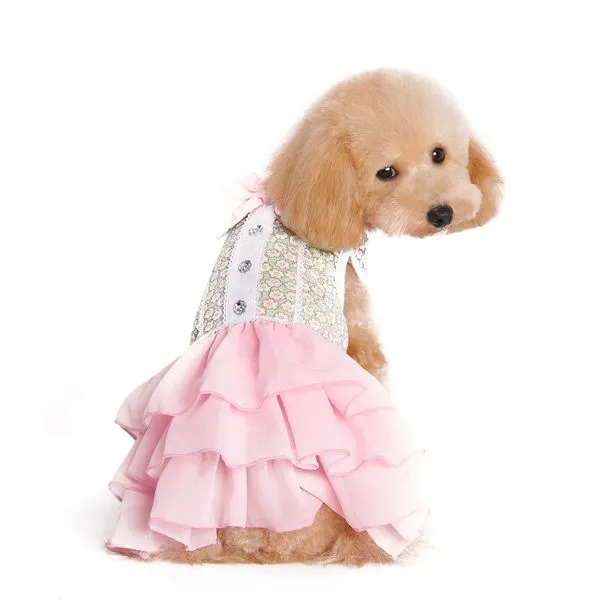 Gatsby Girl Dog Dress