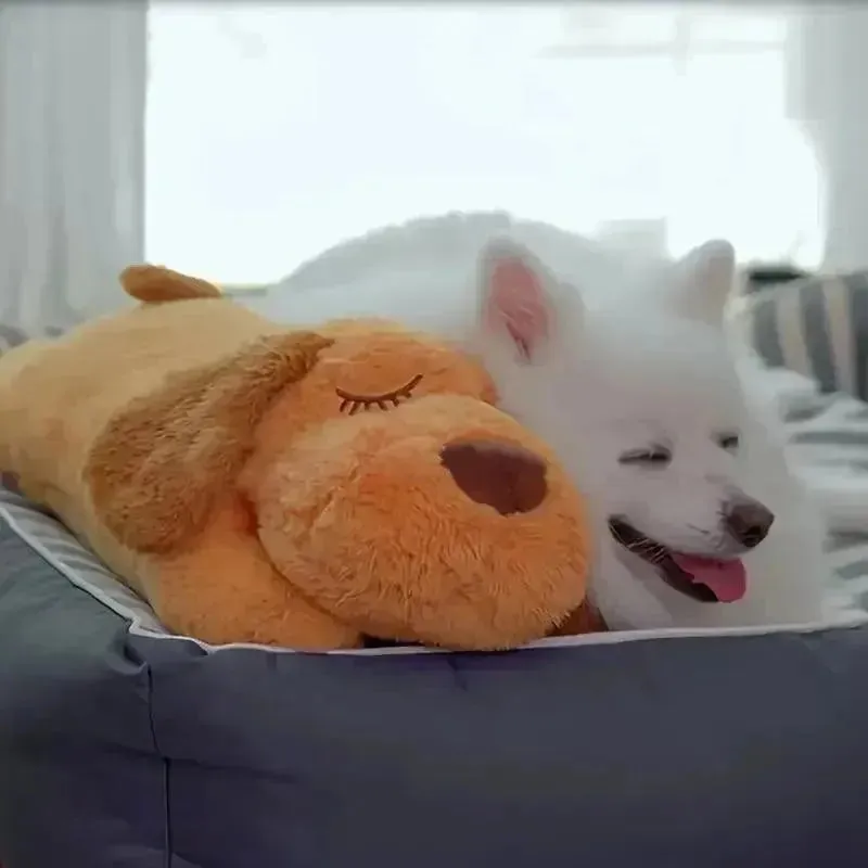 Heartbeat Sounds Bear and Puppy Plushie