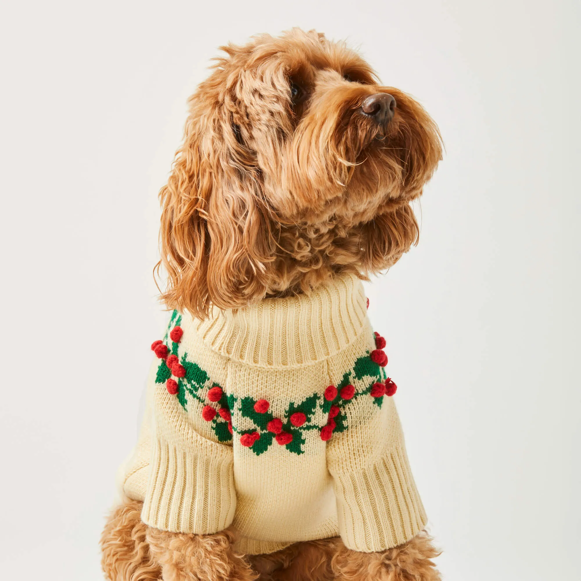 Holly Bobble Dog Sweater