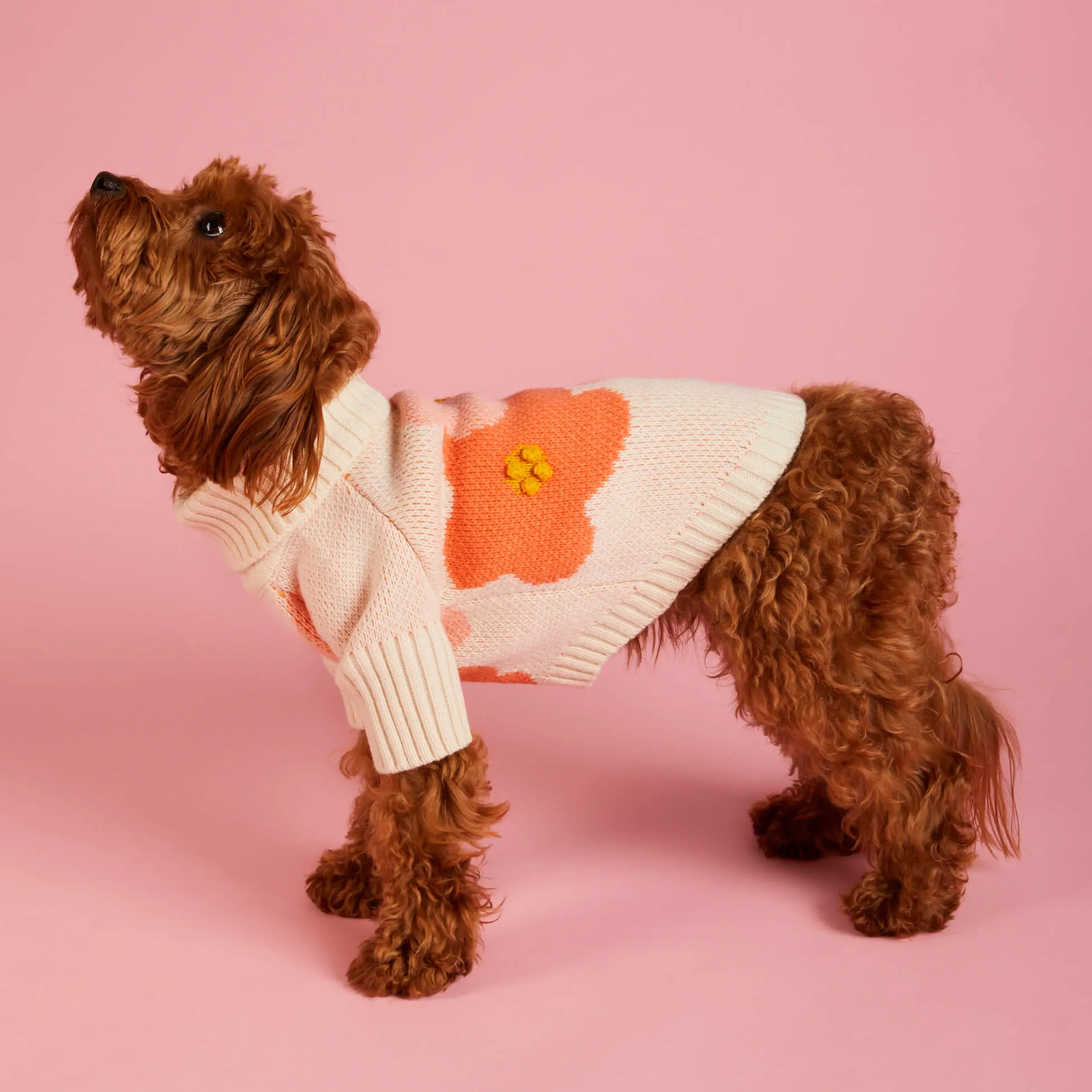 In Bloom Dog Sweater