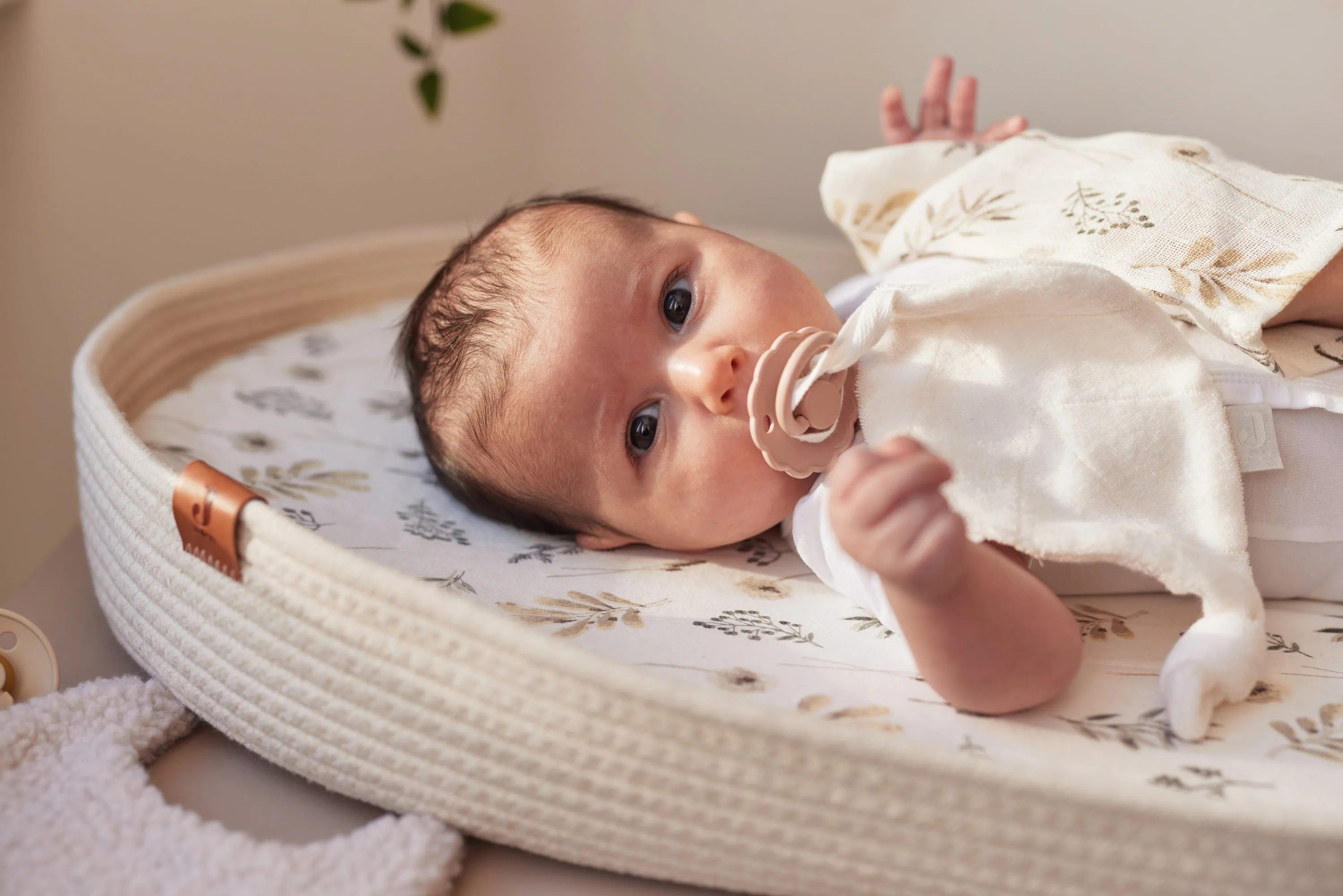 Pacifier Cloth- Ivory