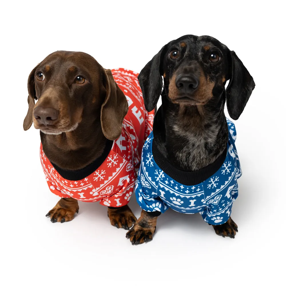 Personalised Name Christmas Dog Jumper