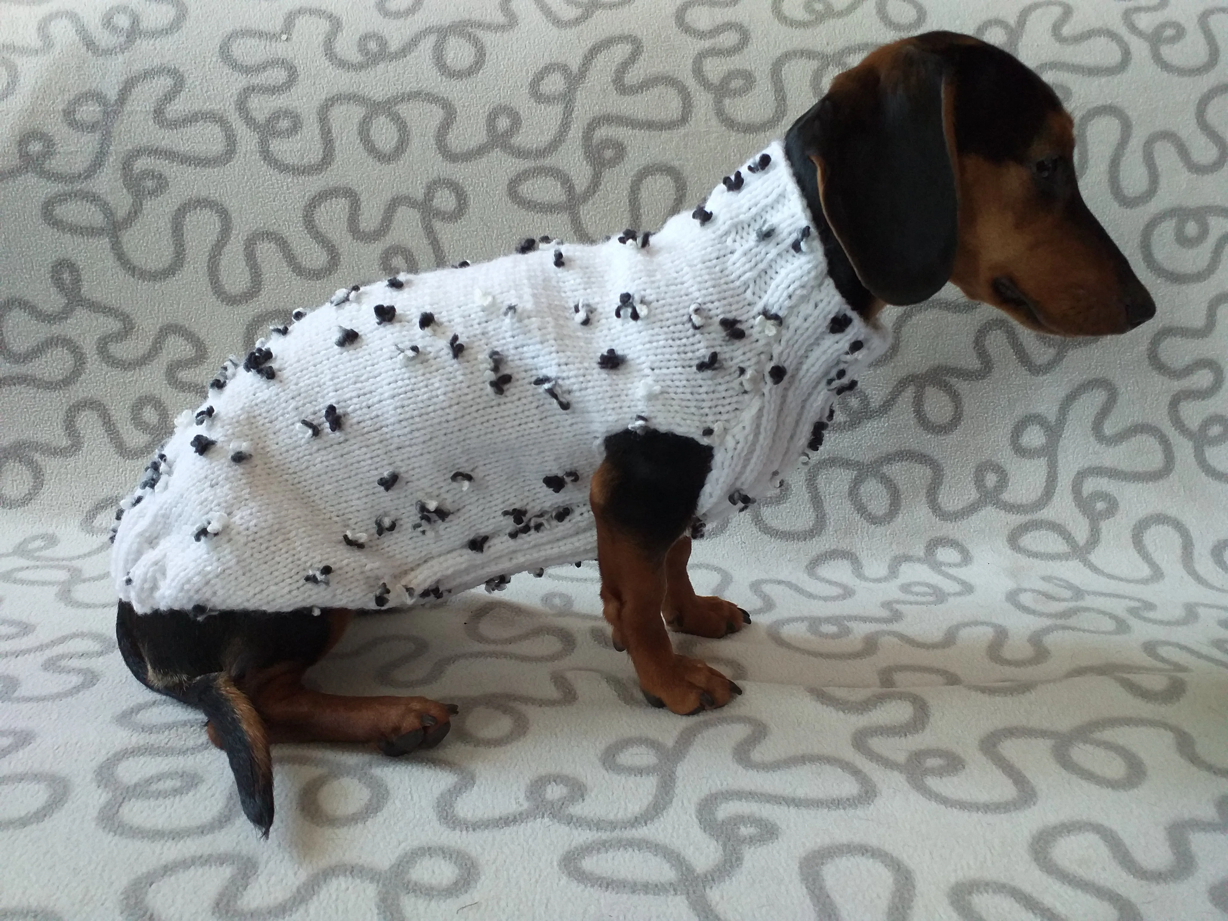 White jumper with black and white flowers for dachshund, Sweater with flowers and butterflies for miniature dachshund or small dog